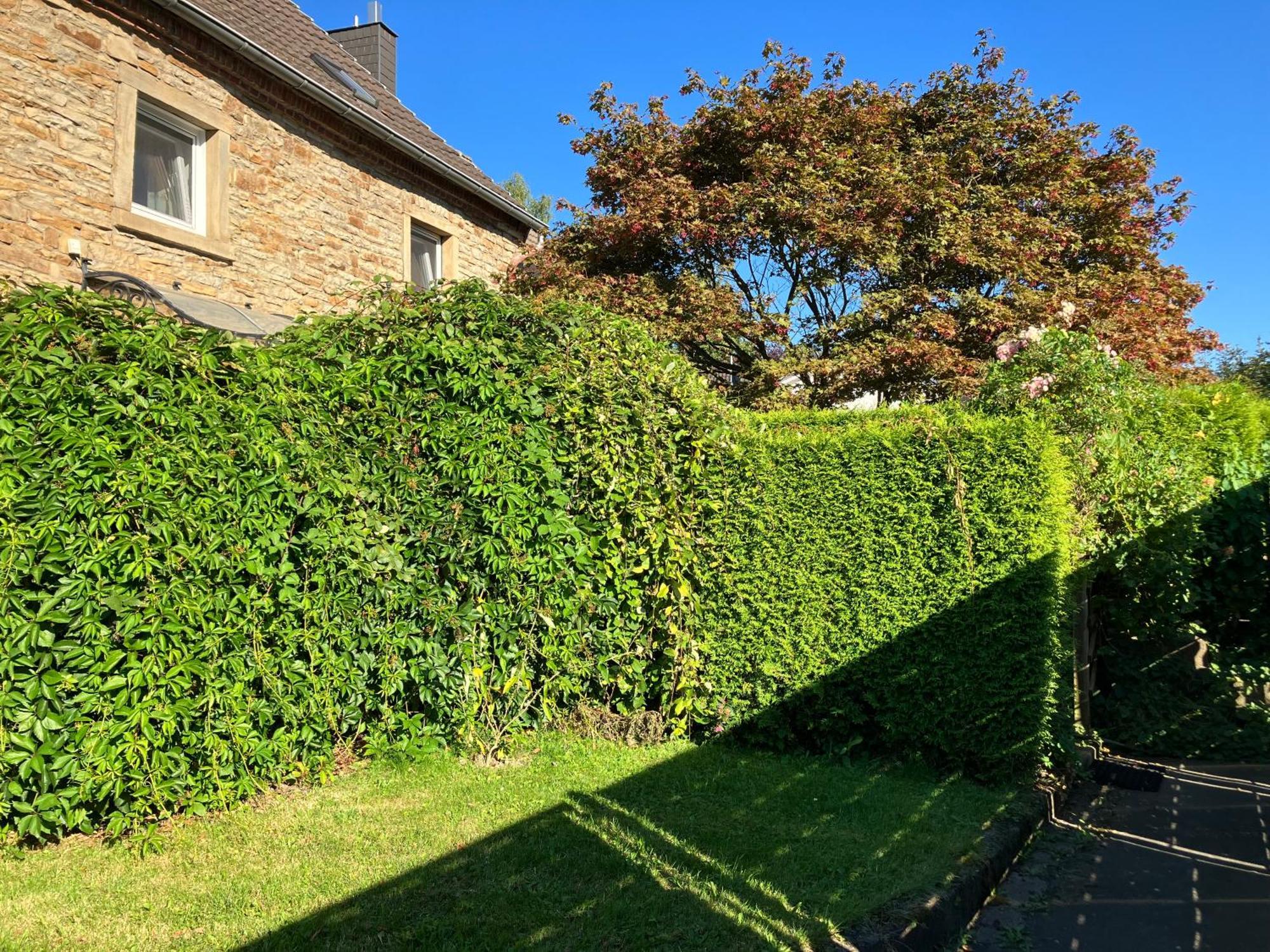 Ferienwohnung Im Gruenen Eg Mit Terrasse Herdecke Exteriér fotografie